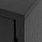 Mobile contenitore a 2 ante Delancey Black | Credenza moderna | Soggiorno
